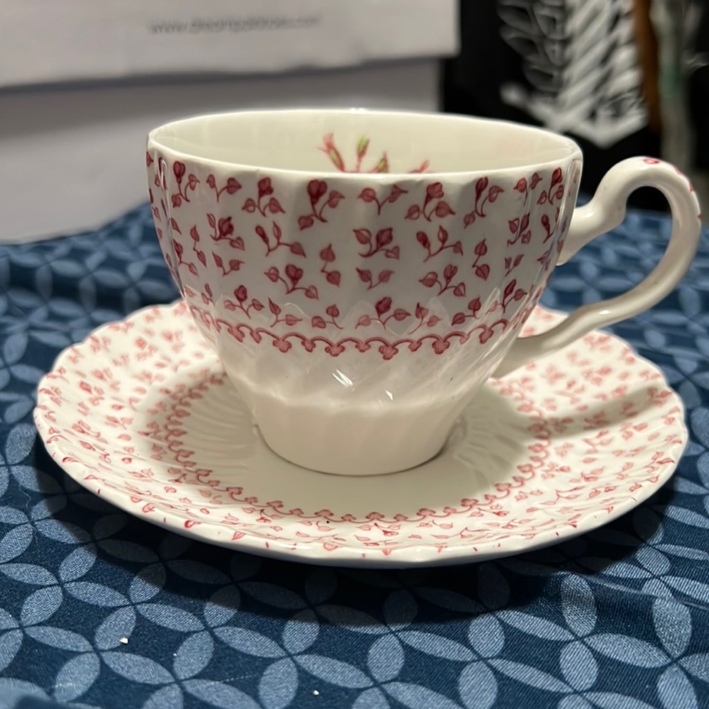 Beautiful tea cup with dish